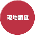 現地調査