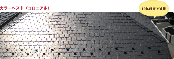 カラーベスト（コロニアル）